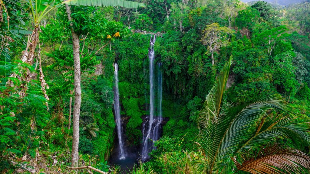 Panduan Lengkap Air Terjun Sekumpul 28 air terjun sekumpul - jelajah wisata negeri 4