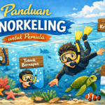 panduan snorkeling untuk pemula