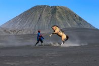 A man tames a rearing horse near Mount Bromo's volcanic landscape.